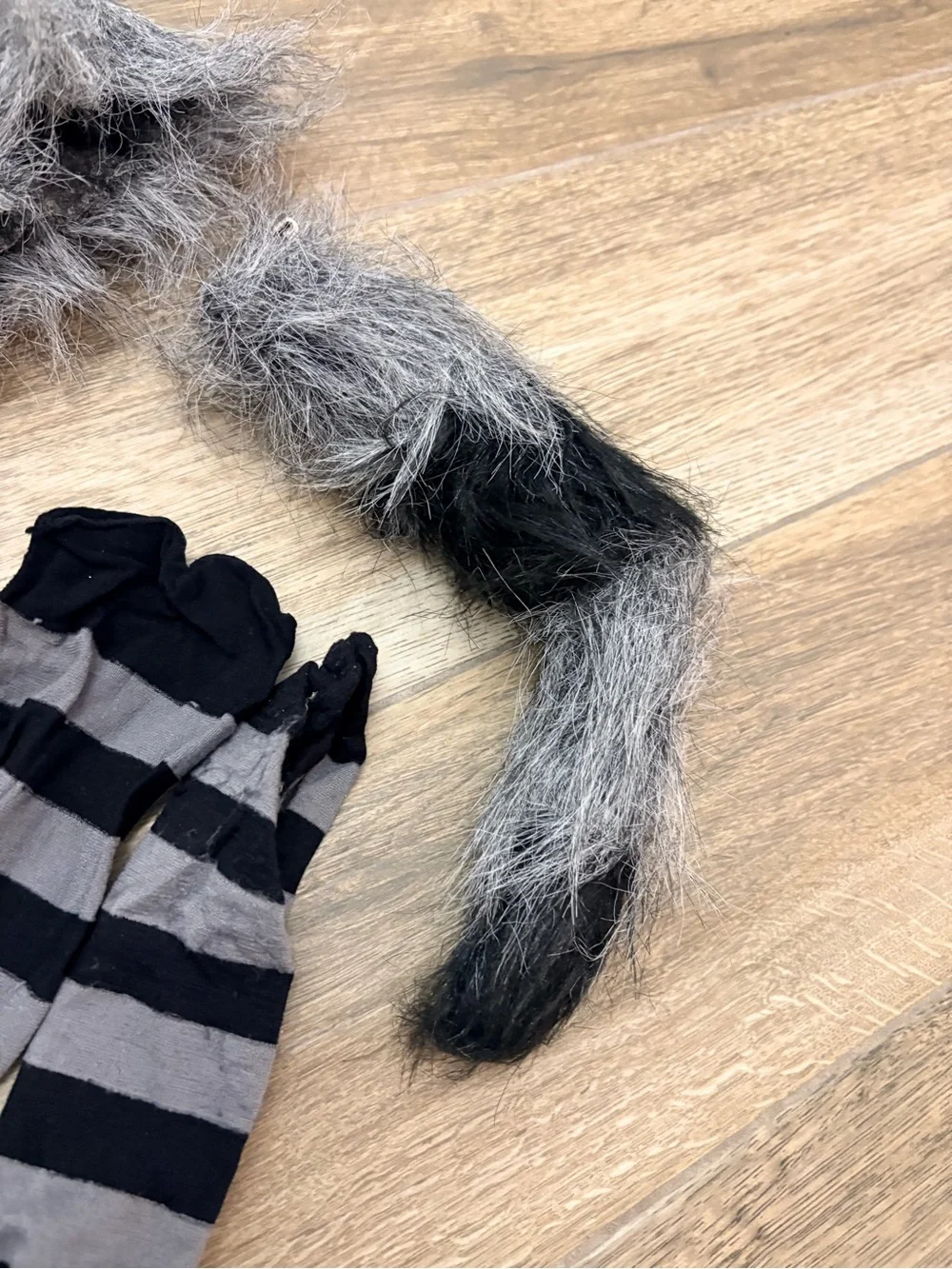 Girls Raccoon Costume